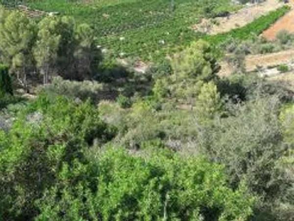 Terreno en calle los Claveles