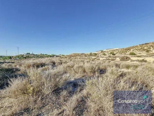 Terreno en camino de la Esparraguera