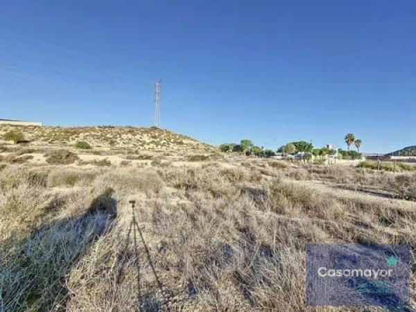 Terreno en camino de la Esparraguera