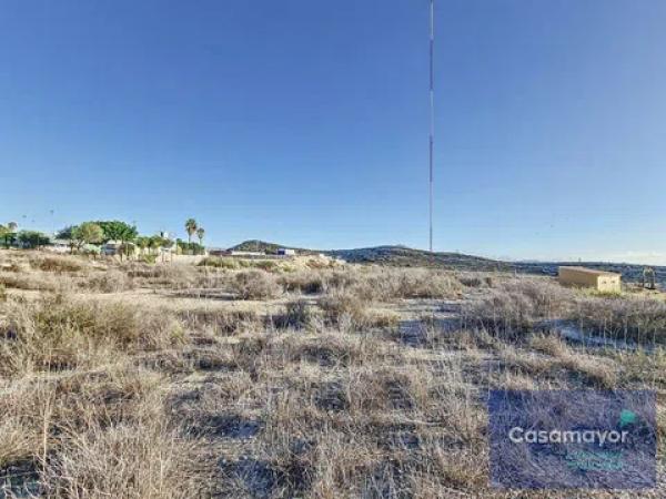 Terreno en camino de la Esparraguera
