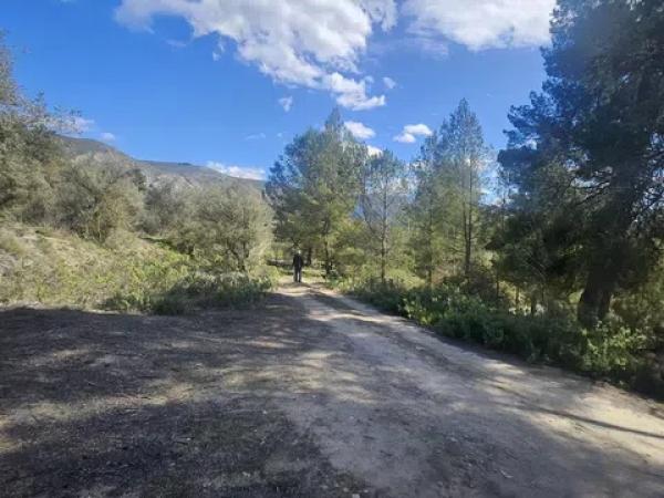 Terreno en Millena