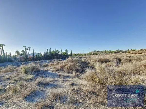 Terreno en camino de la Esparraguera