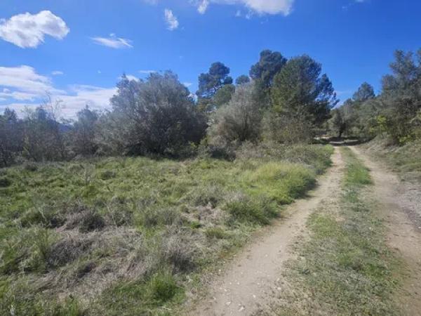 Terreno en Millena