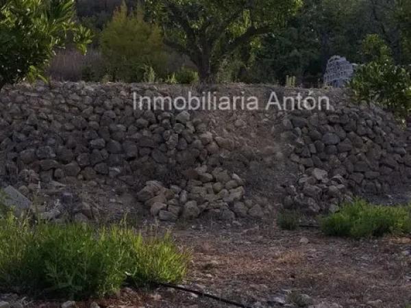 Terreno en Bolulla