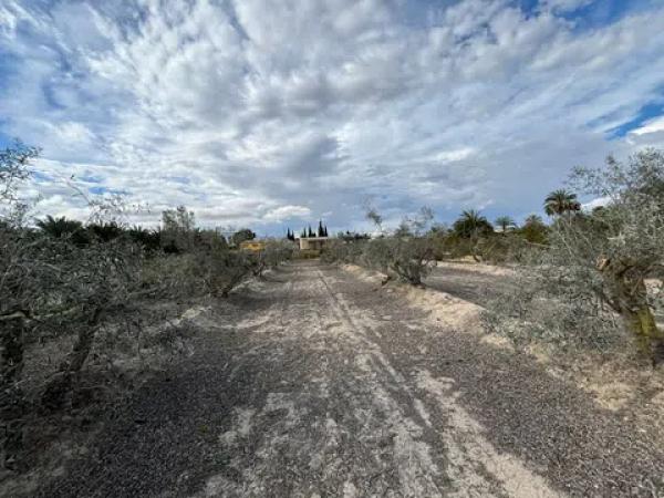 Terreno en Algoda-Matola-Llano de San José