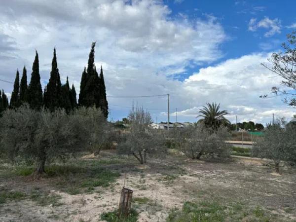 Terreno en Algoda-Matola-Llano de San José