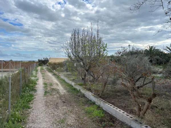 Terreno en Algoda-Matola-Llano de San José
