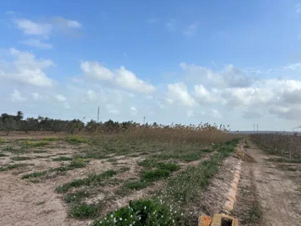 Terreno en Partida Daimes