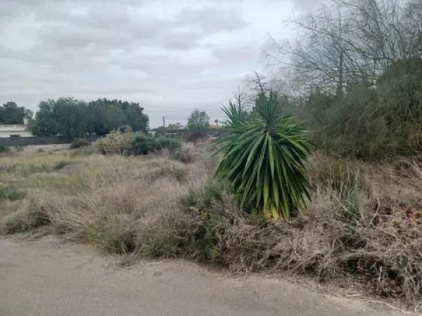 Terreno en camino de Jubalcoy