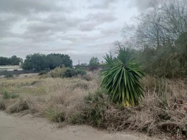Terreno en camino de Jubalcoy