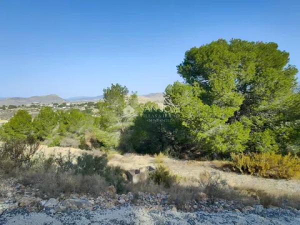 Terreno en Pedanías Oeste