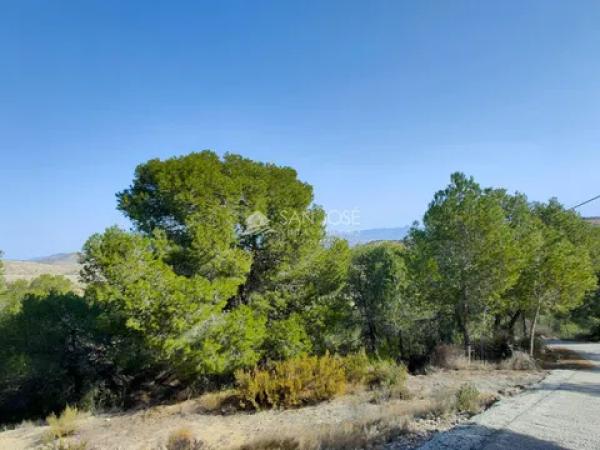Terreno en Pedanías Oeste