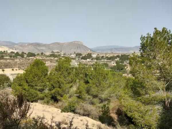 Terreno en Pedanías Oeste