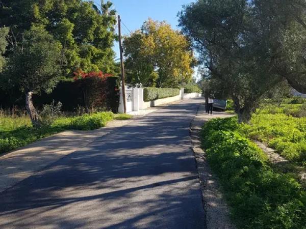 Terreno en calle de les Palmeretes, 26
