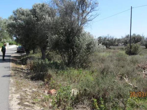 Terreno en calle de les Palmeretes, 26