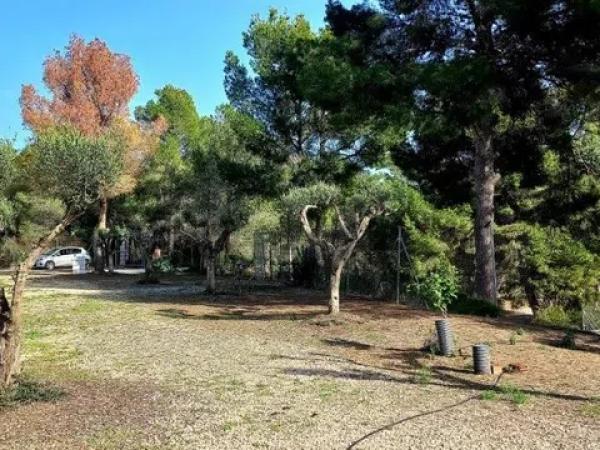 Terreno en camino Foya Brell