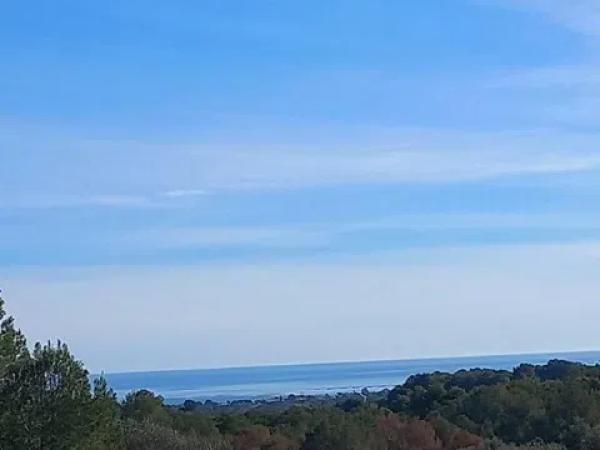 Terreno en camino Foya Brell