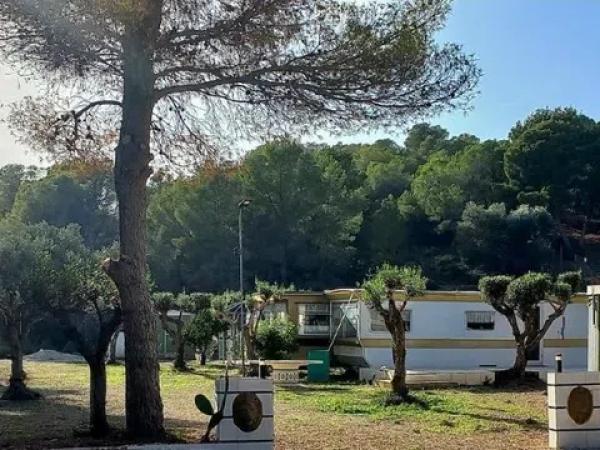 Terreno en camino Foya Brell