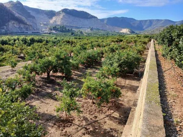 Terreno en calle Sector Tres, 34