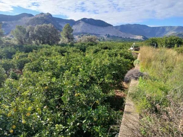 Terreno en calle Sector Tres, 34