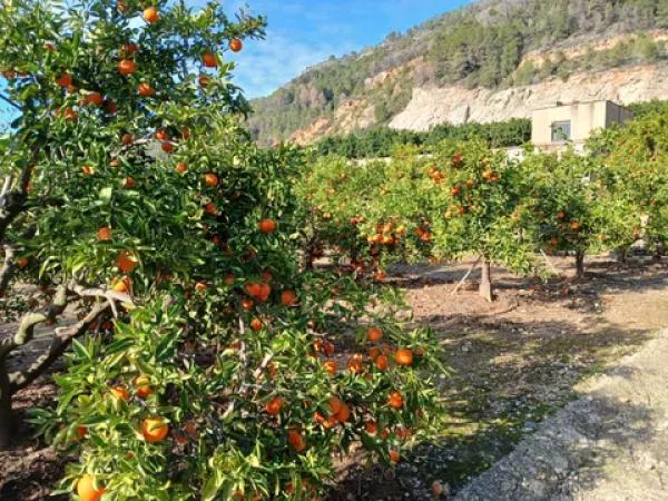 Terreno en calle Sector Tres, 34