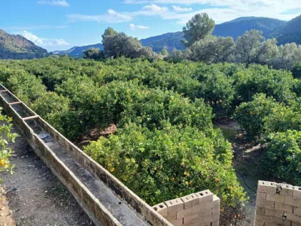 Terreno en calle Sector Tres, 34