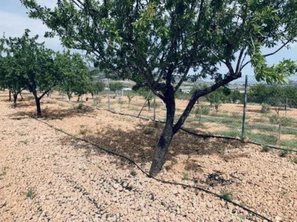 Terreno en La Romana