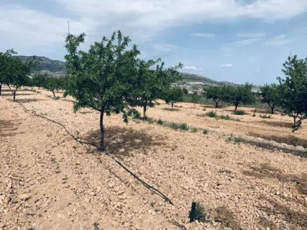 Terreno en La Romana
