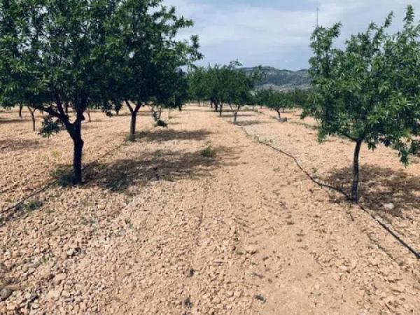 Terreno en La Romana