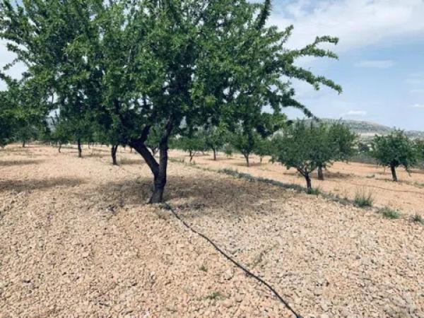 Terreno en La Romana