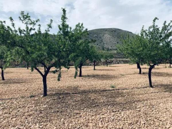 Terreno en La Romana