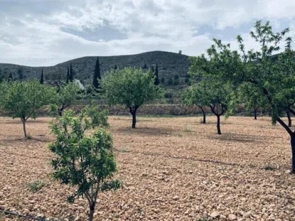 Terreno en La Romana