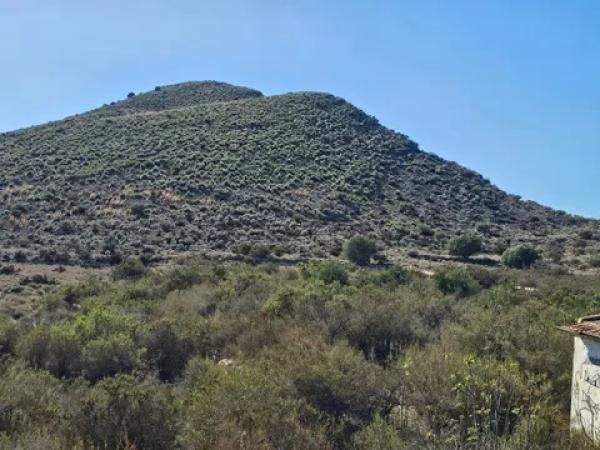 Terreno en Monforte cid