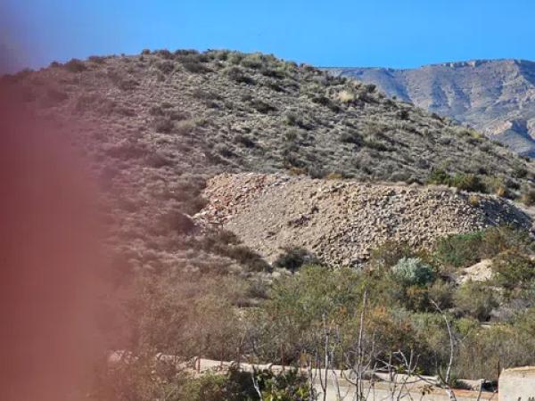 Terreno en Monforte cid