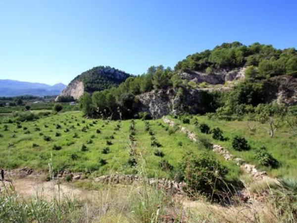 Terreno en Pego