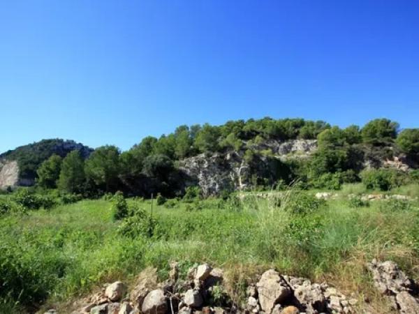Terreno en Pego
