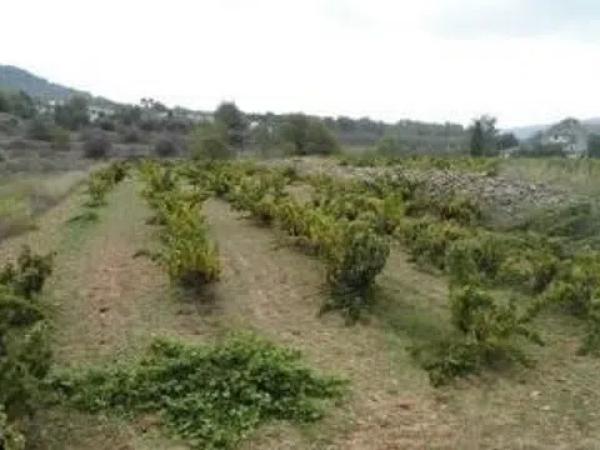 Terreno en camino Camì de la Sabatera, 23