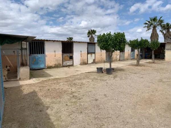 Terreno en Partida Walaig