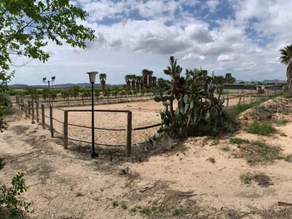 Terreno en Partida Walaig