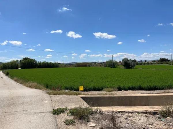 Terreno en calle Vereda, 1