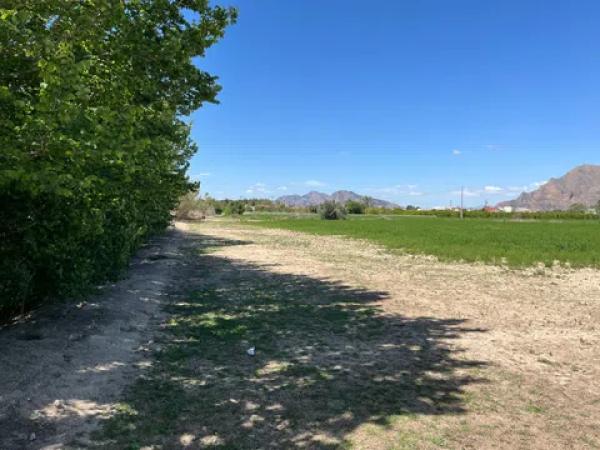 Terreno en calle Vereda, 1