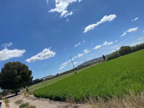 Terreno en calle Vereda, 1