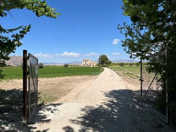 Terreno en calle Vereda, 1