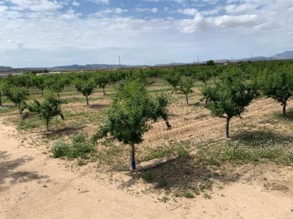 Terreno en Partida Walaig