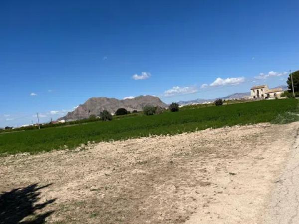 Terreno en calle Vereda, 1