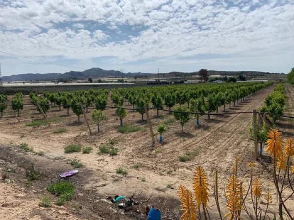 Terreno en Partida Walaig