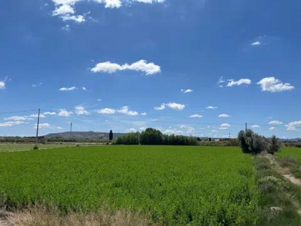 Terreno en calle Vereda, 1