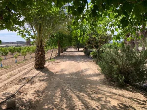 Terreno en Partida Walaig