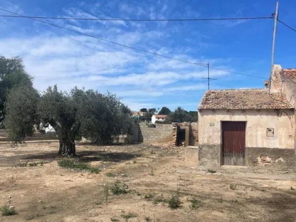 Terreno en Partida Marina, 317 --a