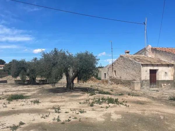 Terreno en Partida Marina, 317 --a